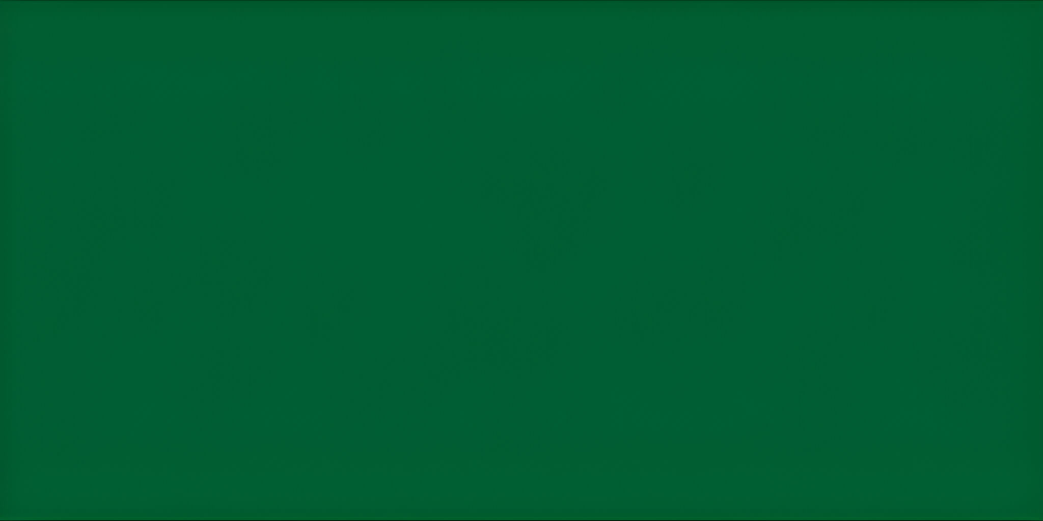 SAICOS Bel Air opaque Special Wood Colour solvent free 7260 Fir Green, 0.125 L